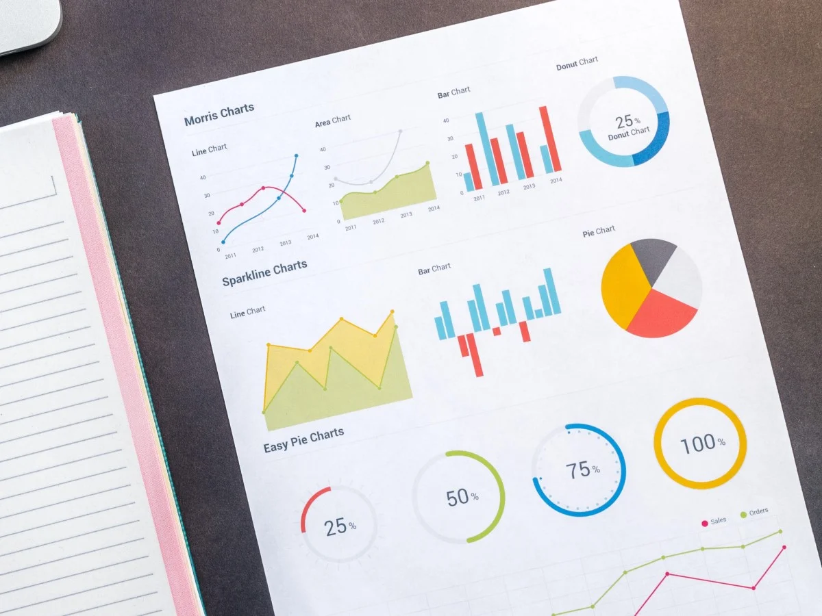 Chart & Dashboard Excel Templates