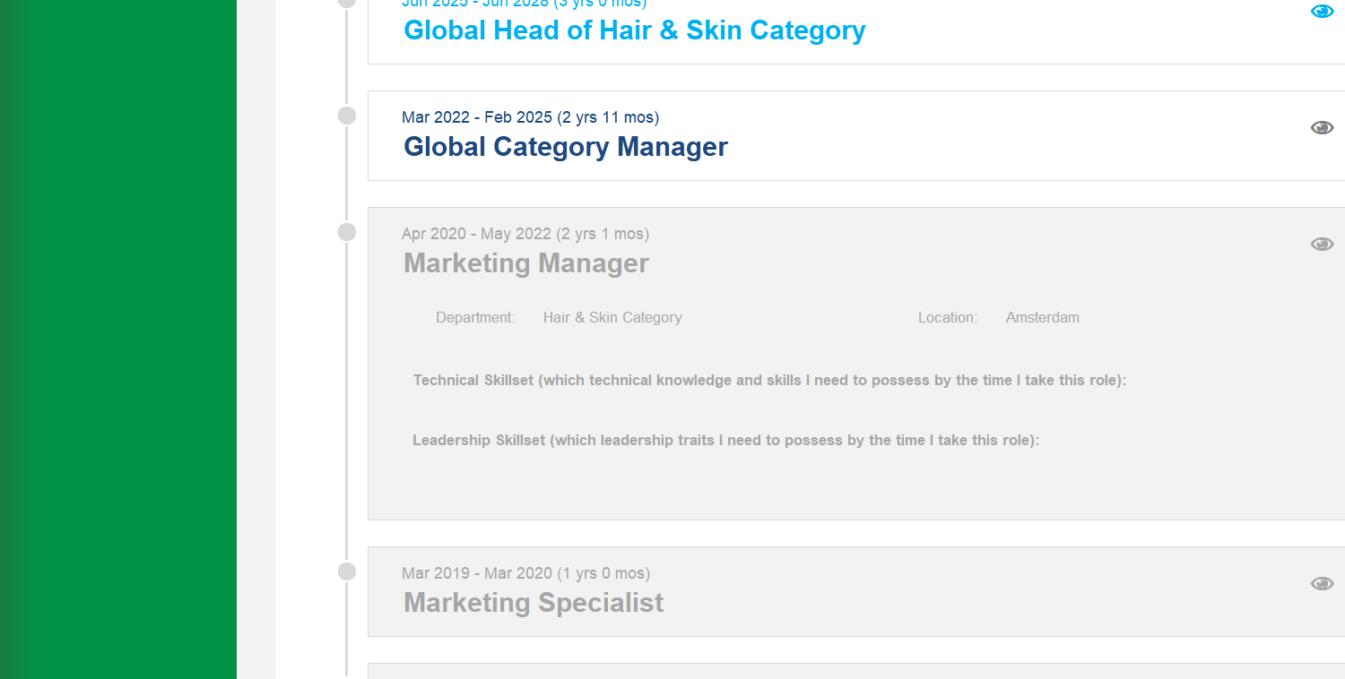 Career Planning Excel Template Image 6