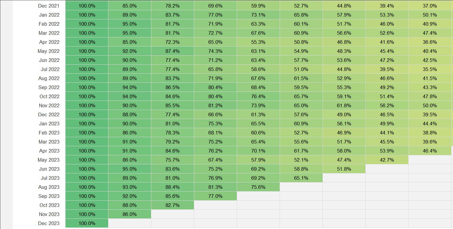 Customer Cohort Analysis Excel Template Image 5