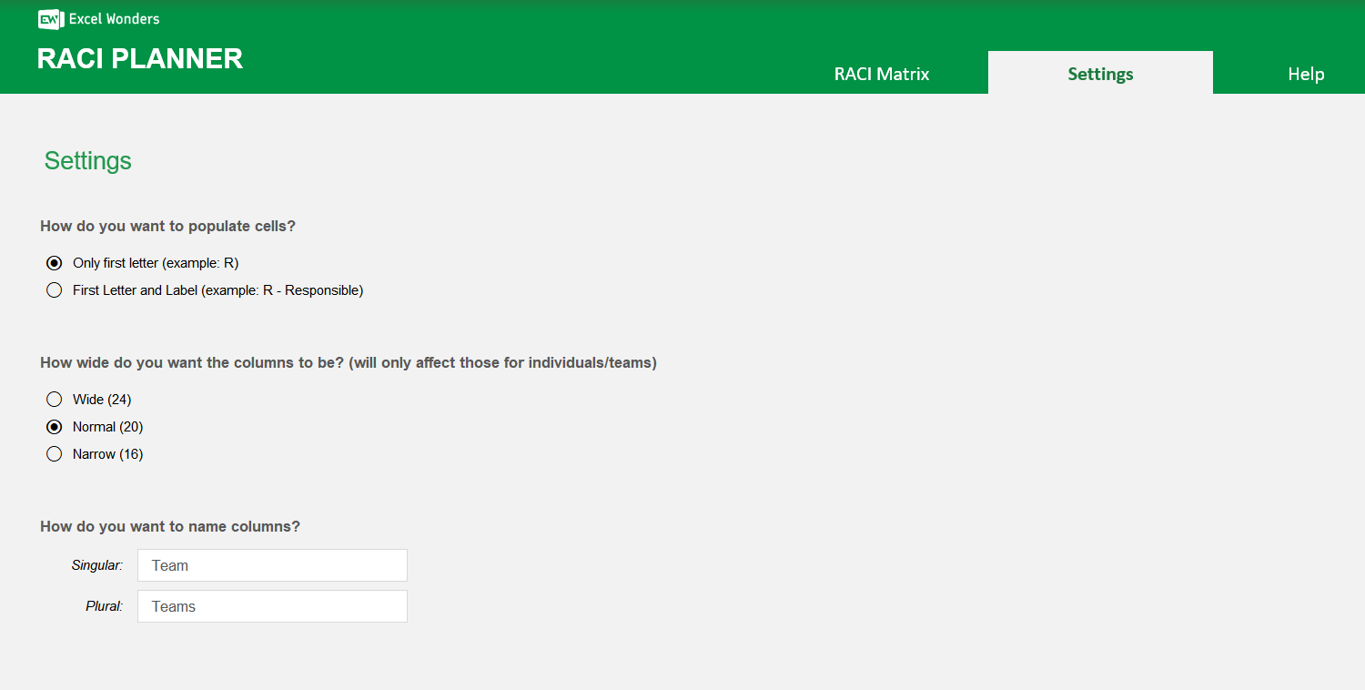 RACI Planner Excel Template Image 4